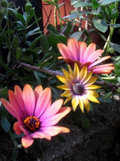 Name:  IMG_9880.jpg
Views: 1227
Size:  36.4 KB