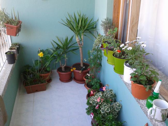 Name:  2013-04-27 17.36.29.jpg
Views: 1552
Size:  48.4 KB
