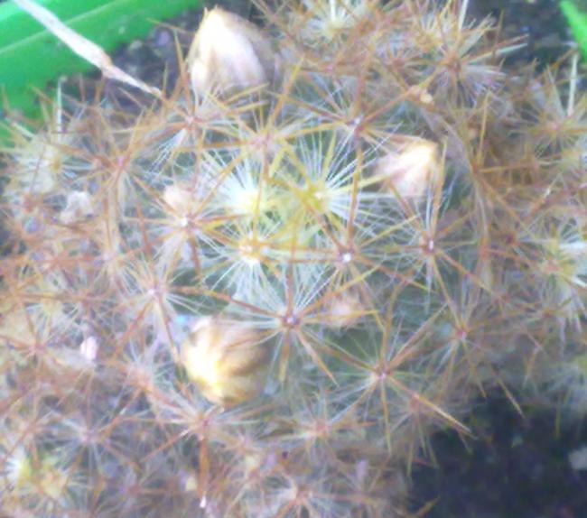 Name:  280420131267.jpg
Views: 563
Size:  52.5 KB