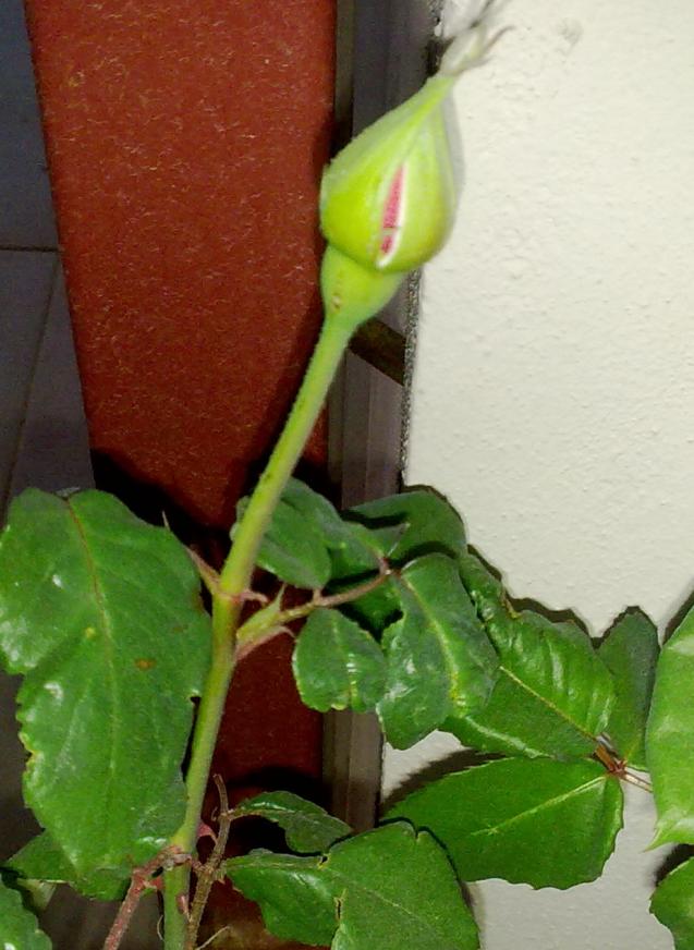 Name:  260420131234.jpg
Views: 586
Size:  70.1 KB