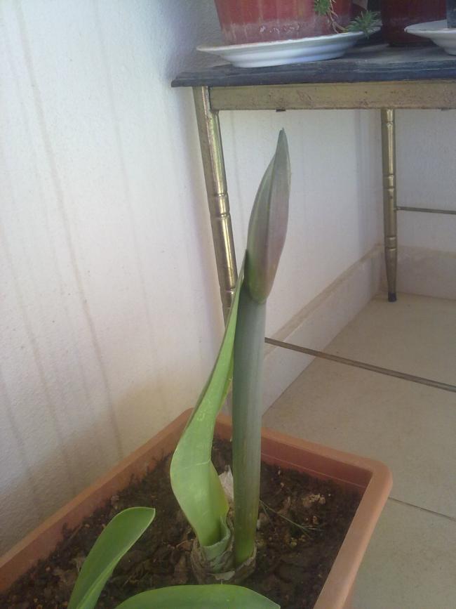 Name:  280420131249.jpg
Views: 572
Size:  46.1 KB