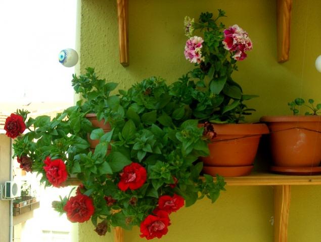 Name:  DSCN3261.jpg
Views: 1713
Size:  39.5 KB