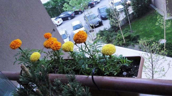 Name:  301.jpg
Views: 1733
Size:  51.2 KB