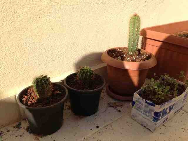 Name:  ImageUploadedByTapatalk1367418382.198184.jpg
Views: 577
Size:  42.6 KB