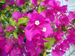 Name:  2011-04-23 18.42.00.jpg
Views: 1029
Size:  18.3 KB