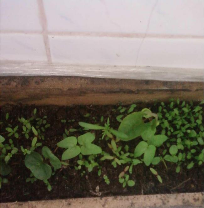 Name:  Fotoraf2199.jpg
Views: 1371
Size:  43.4 KB