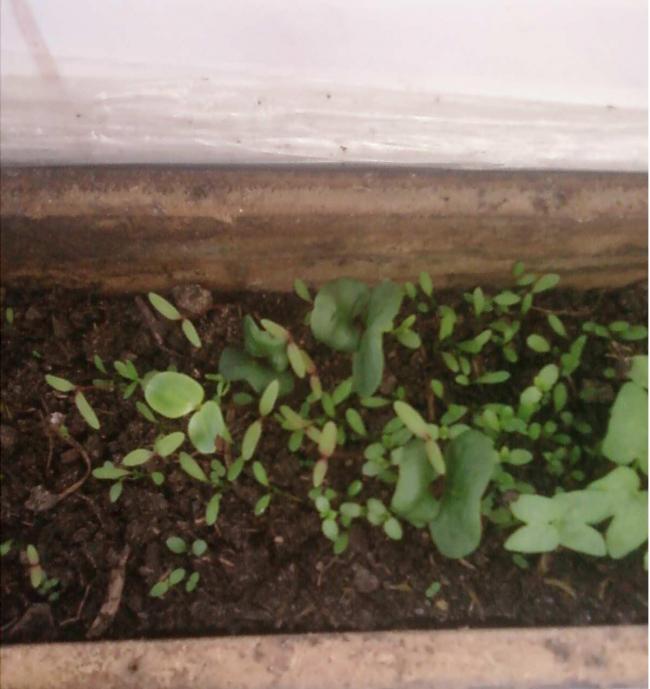 Name:  Fotoraf2200.jpg
Views: 1433
Size:  48.3 KB