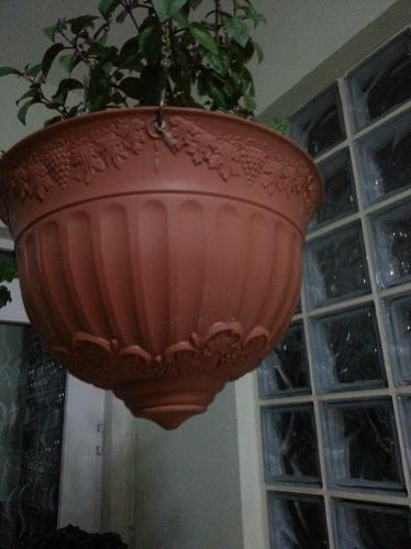 Name:  20130505_200806.jpg
Views: 368
Size:  24.8 KB
