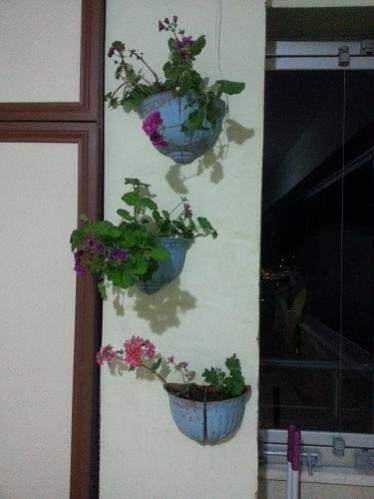 Name:  20130505_200733.jpg
Views: 372
Size:  21.7 KB