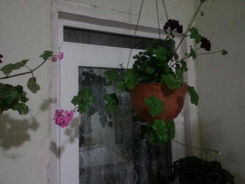 Name:  20130505_200719.jpg
Views: 380
Size:  22.0 KB