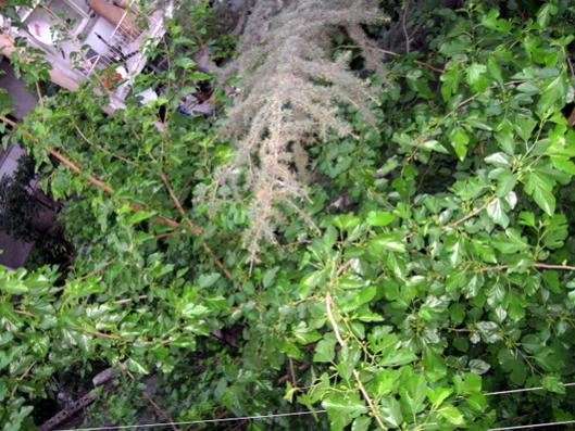 Name:  IMG_0039.jpg
Views: 1191
Size:  58.2 KB