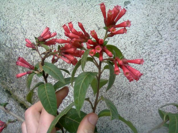 Name:  Fotoraf2347.jpg
Views: 1393
Size:  70.5 KB