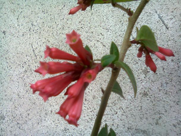 Name:  Fotoraf2348.jpg
Views: 977
Size:  71.2 KB