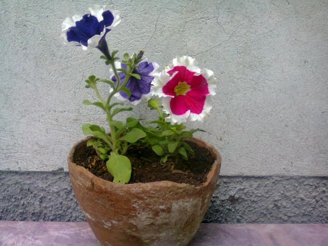 Name:  Fotoraf2335.jpg
Views: 925
Size:  56.7 KB