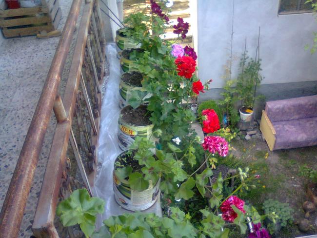 Name:  Fotoraf2428.jpg
Views: 2214
Size:  60.3 KB