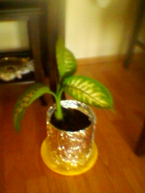 Name:  SP_A0159.jpg
Views: 992
Size:  68.3 KB