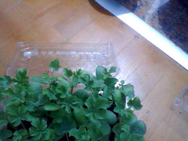 Name:  Snapshot_20130509_13.JPG
Views: 2130
Size:  54.2 KB