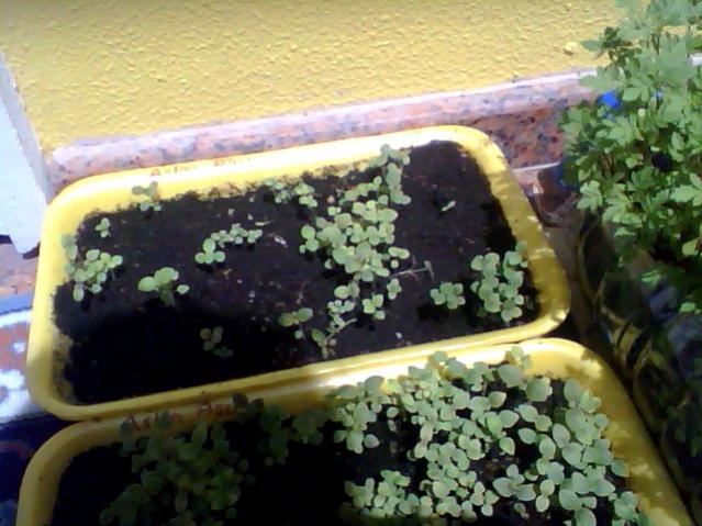 Name:  Snapshot_20130509_23.jpg
Views: 2129
Size:  51.7 KB