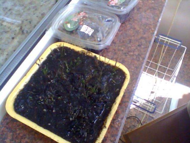 Name:  Snapshot_20130509_19.jpg
Views: 2064
Size:  47.0 KB
