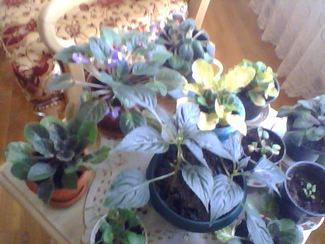 Name:  Snapshot_20130509_29.JPG
Views: 2172
Size:  69.6 KB