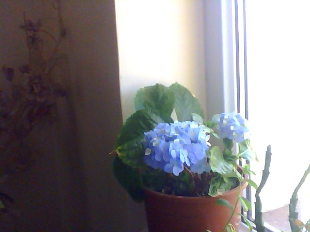Name:  Snapshot_20130509_32.JPG
Views: 2067
Size:  37.1 KB