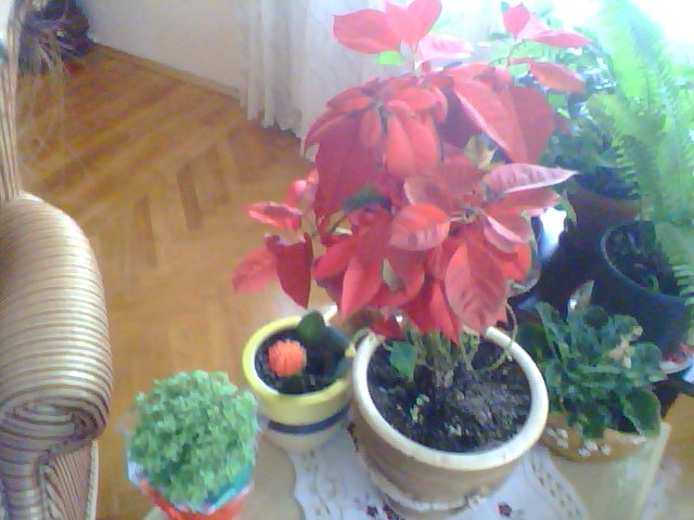 Name:  Snapshot_20130509_31.JPG
Views: 2058
Size:  60.7 KB