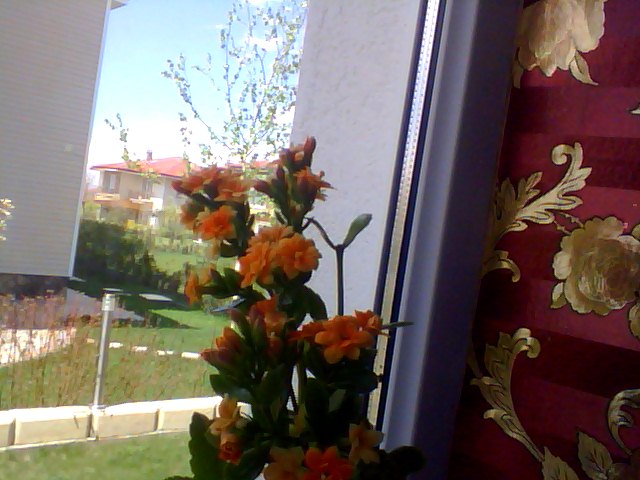 Name:  Snapshot_20130509_34.JPG
Views: 2075
Size:  64.9 KB