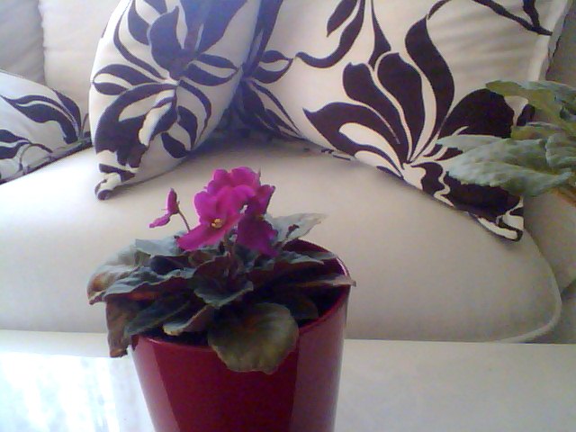 Name:  Snapshot_20130509_44.JPG
Views: 2078
Size:  54.7 KB