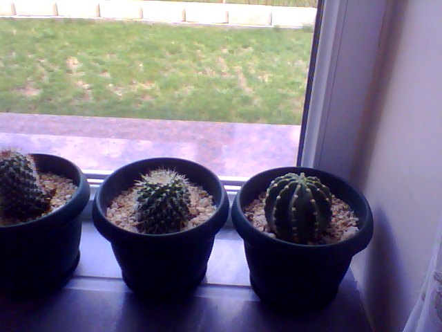 Name:  Snapshot_20130509_40.JPG
Views: 2068
Size:  51.5 KB