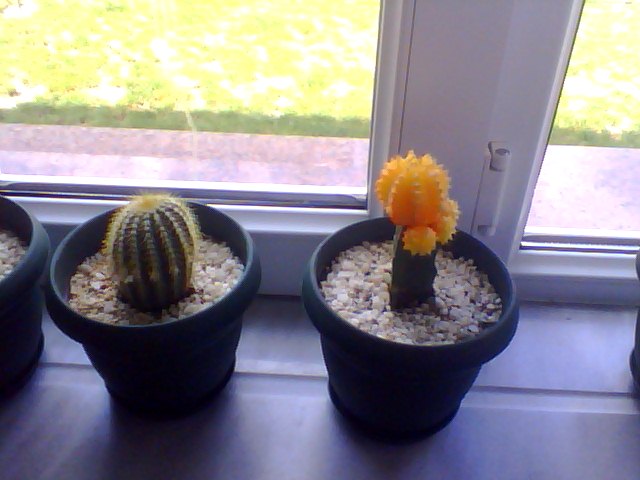 Name:  Snapshot_20130509_41.JPG
Views: 2070
Size:  51.0 KB