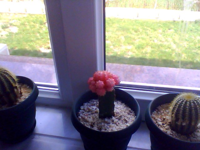 Name:  Snapshot_20130509_42.JPG
Views: 2136
Size:  56.2 KB
