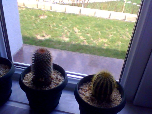 Name:  Snapshot_20130509_43.JPG
Views: 2058
Size:  58.9 KB