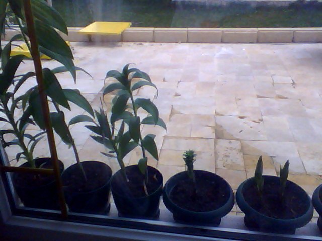 Name:  Snapshot_20130509_49.JPG
Views: 2299
Size:  58.3 KB