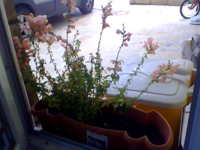 Name:  Snapshot_20130509_50.JPG
Views: 2242
Size:  65.0 KB