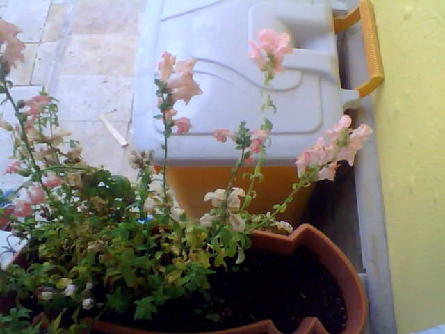 Name:  Snapshot_20130509_52.JPG
Views: 2297
Size:  59.3 KB