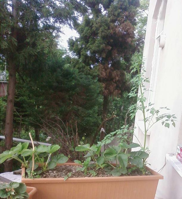 Name:  Fotoraf2221.jpg
Views: 598
Size:  71.5 KB