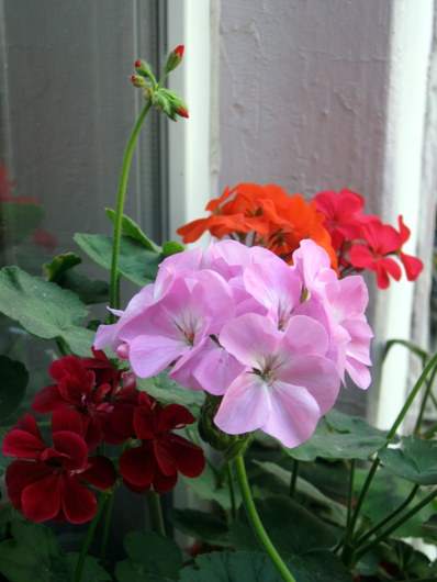 Name:  IMG_0108.JPG
Views: 944
Size:  57.3 KB