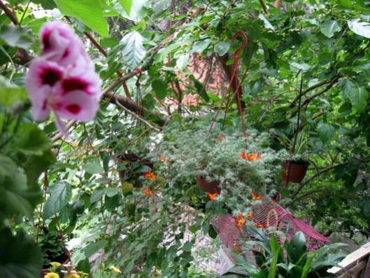 Name:  IMG_0294.jpg
Views: 1336
Size:  55.7 KB