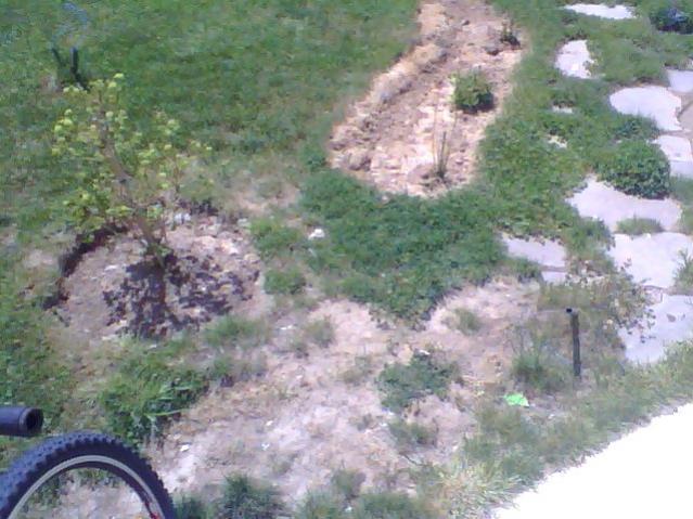 Name:  Snapshot_20130509_69.jpg
Views: 1965
Size:  54.7 KB