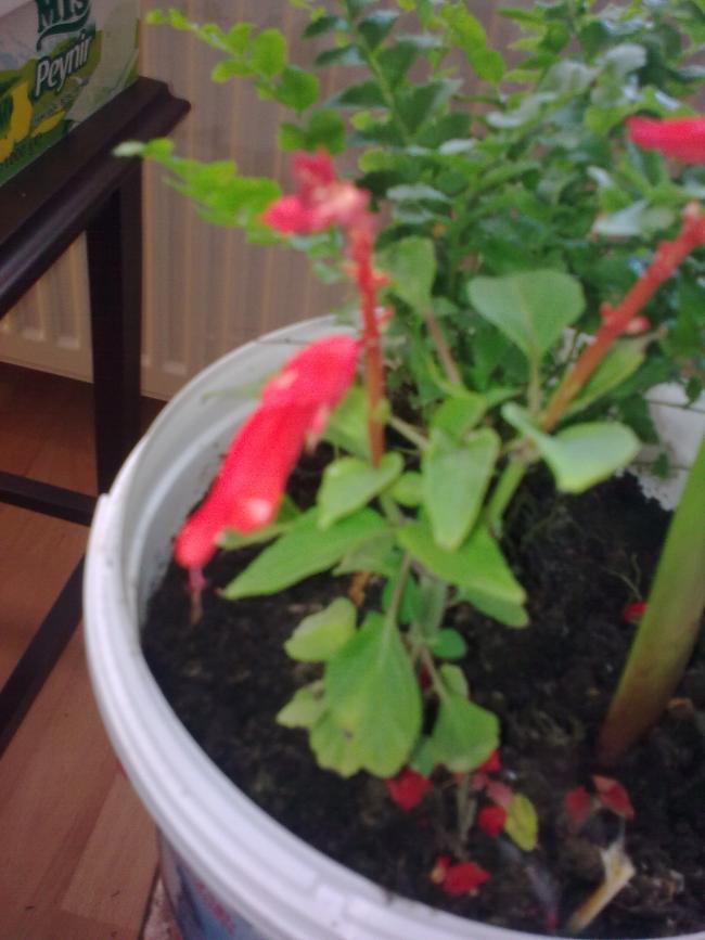 Name:  Grnt0468.jpg
Views: 503
Size:  55.4 KB