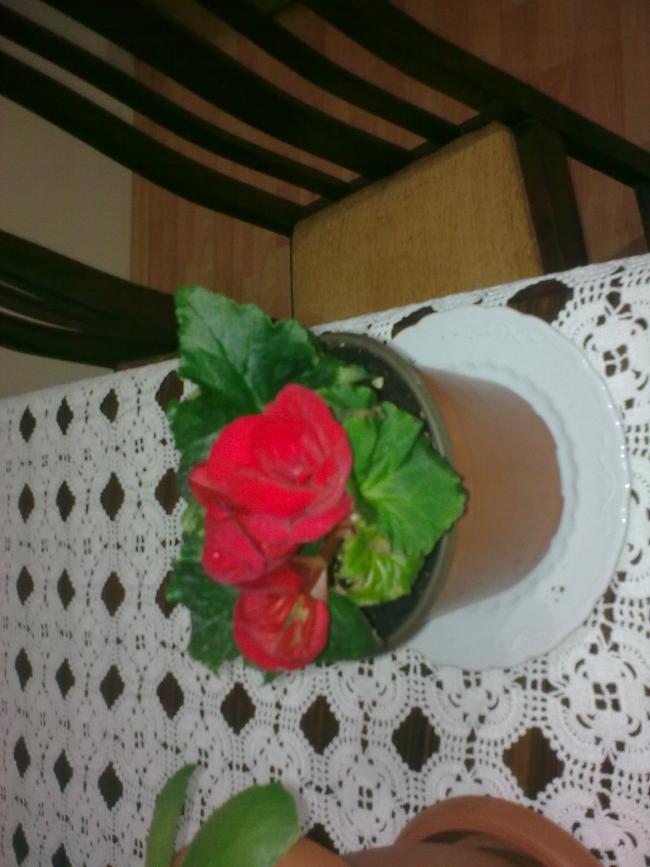 Name:  Grnt0470.jpg
Views: 498
Size:  60.3 KB