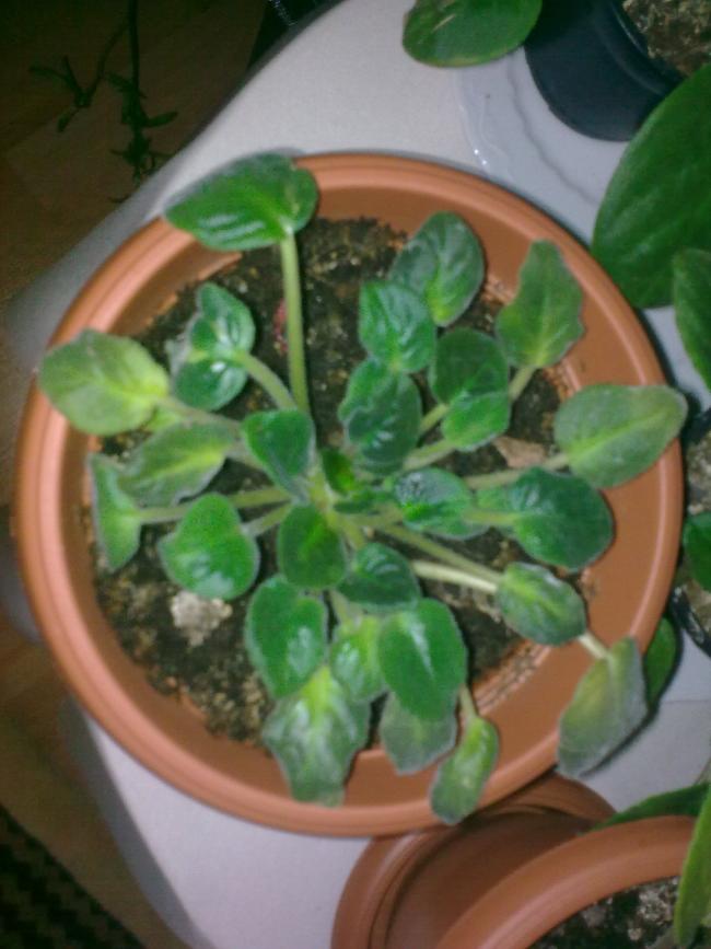 Name:  Grnt0486.jpg
Views: 500
Size:  57.1 KB