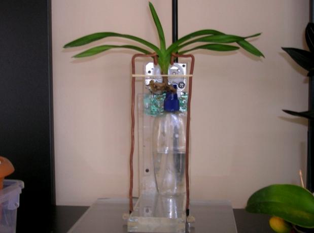 Name:  DSCN3425.jpg
Views: 1198
Size:  22.8 KB