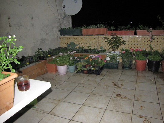 Name:  IMG_8744.jpg
Views: 1975
Size:  66.5 KB