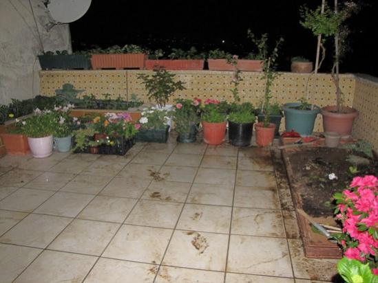 Name:  IMG_8757.jpg
Views: 1721
Size:  35.9 KB