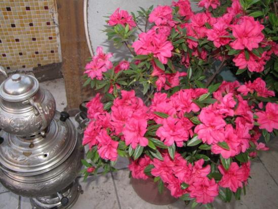 Name:  IMG_8722.jpg
Views: 1653
Size:  47.4 KB