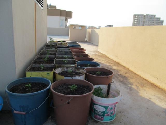 Name:  1369502145_Resim_001.jpg
Views: 1465
Size:  29.5 KB