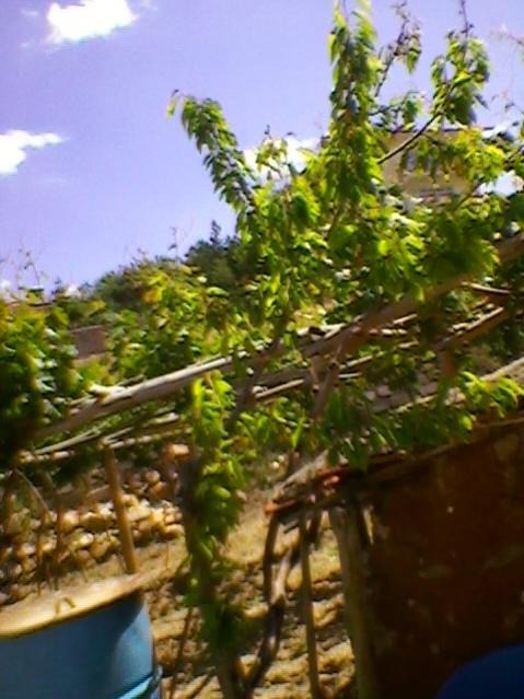 Name:  SP_A0212.jpg
Views: 519
Size:  50.0 KB