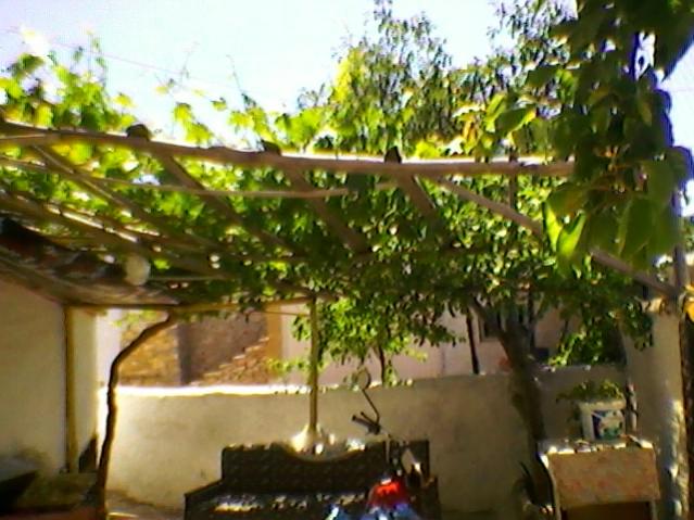 Name:  SP_A0214.jpg
Views: 1947
Size:  53.2 KB