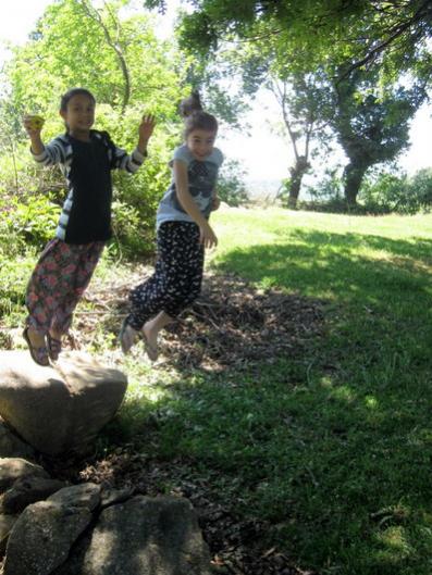Name:  IMG_0645.jpg
Views: 3541
Size:  50.9 KB